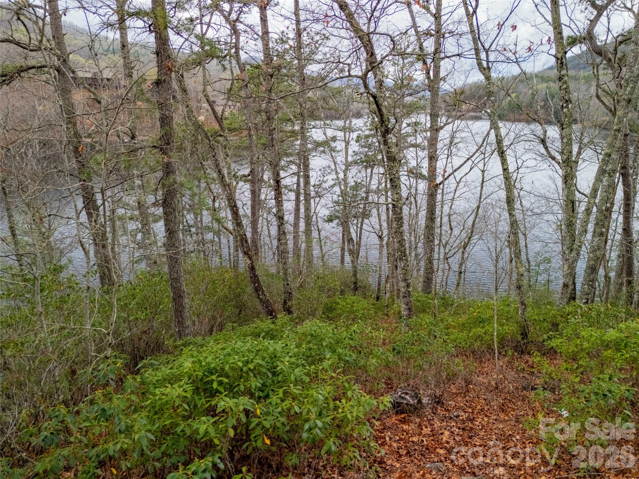 159 Songcatcher Court Tuckasegee NC 28783