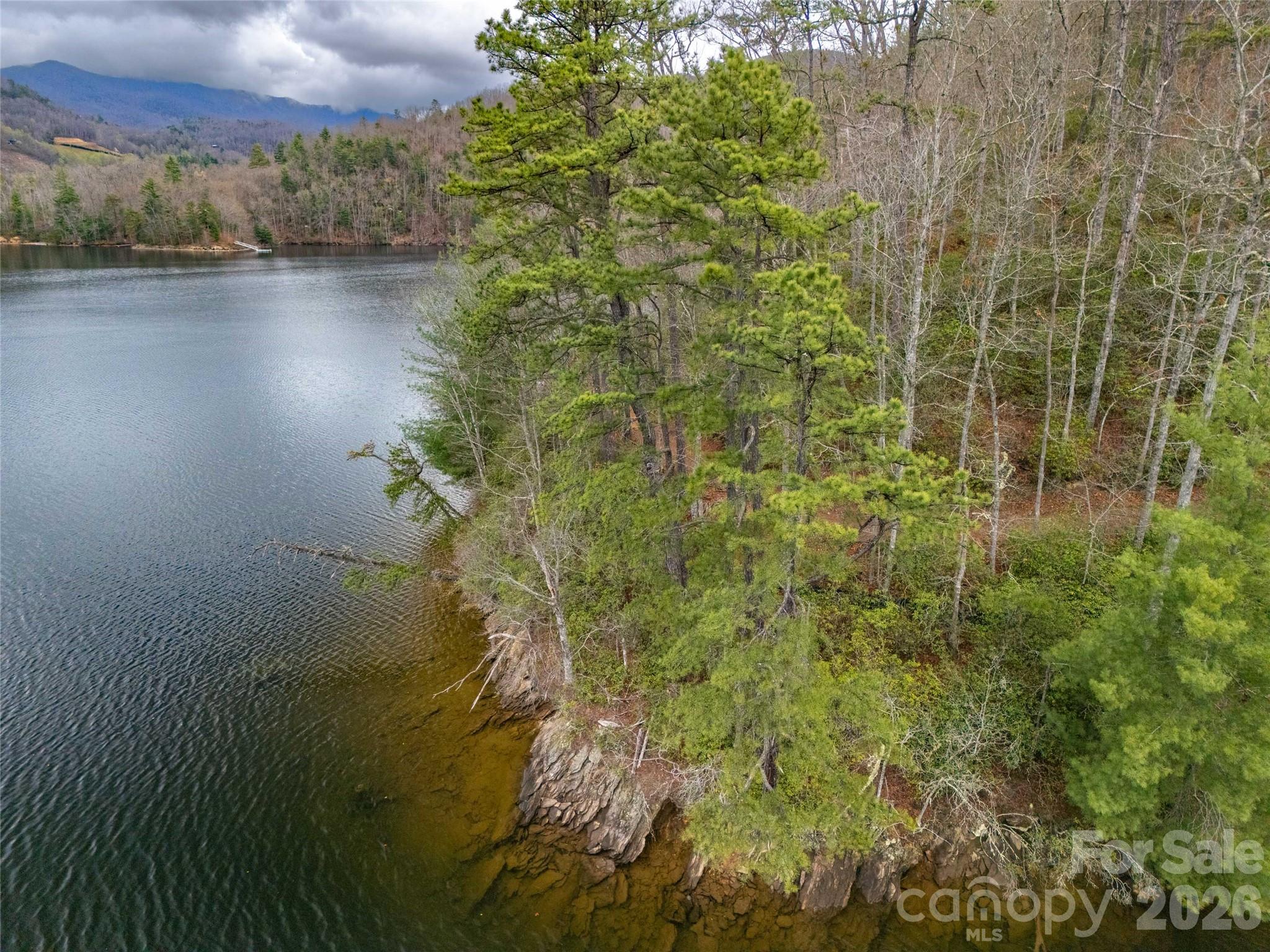 159 Songcatcher Court Tuckasegee NC 28783