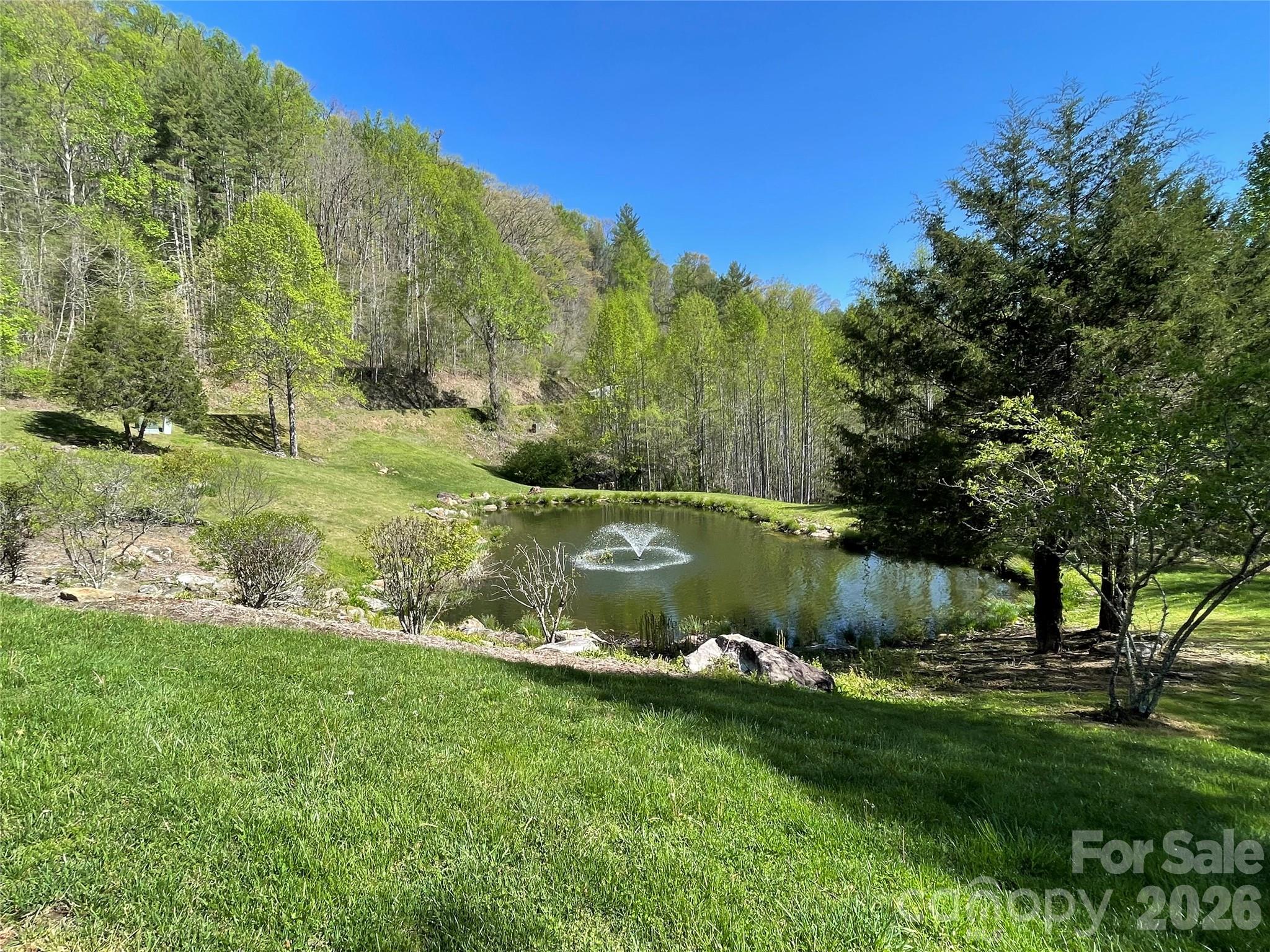 159 Songcatcher Court Tuckasegee NC 28783