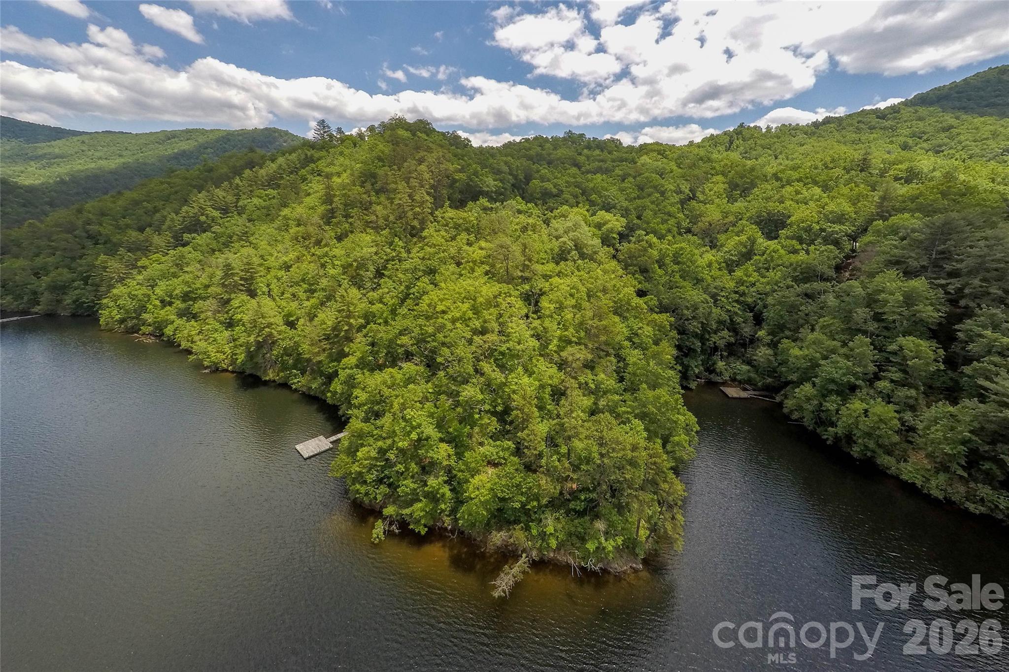 159 Songcatcher Court Tuckasegee NC 28783