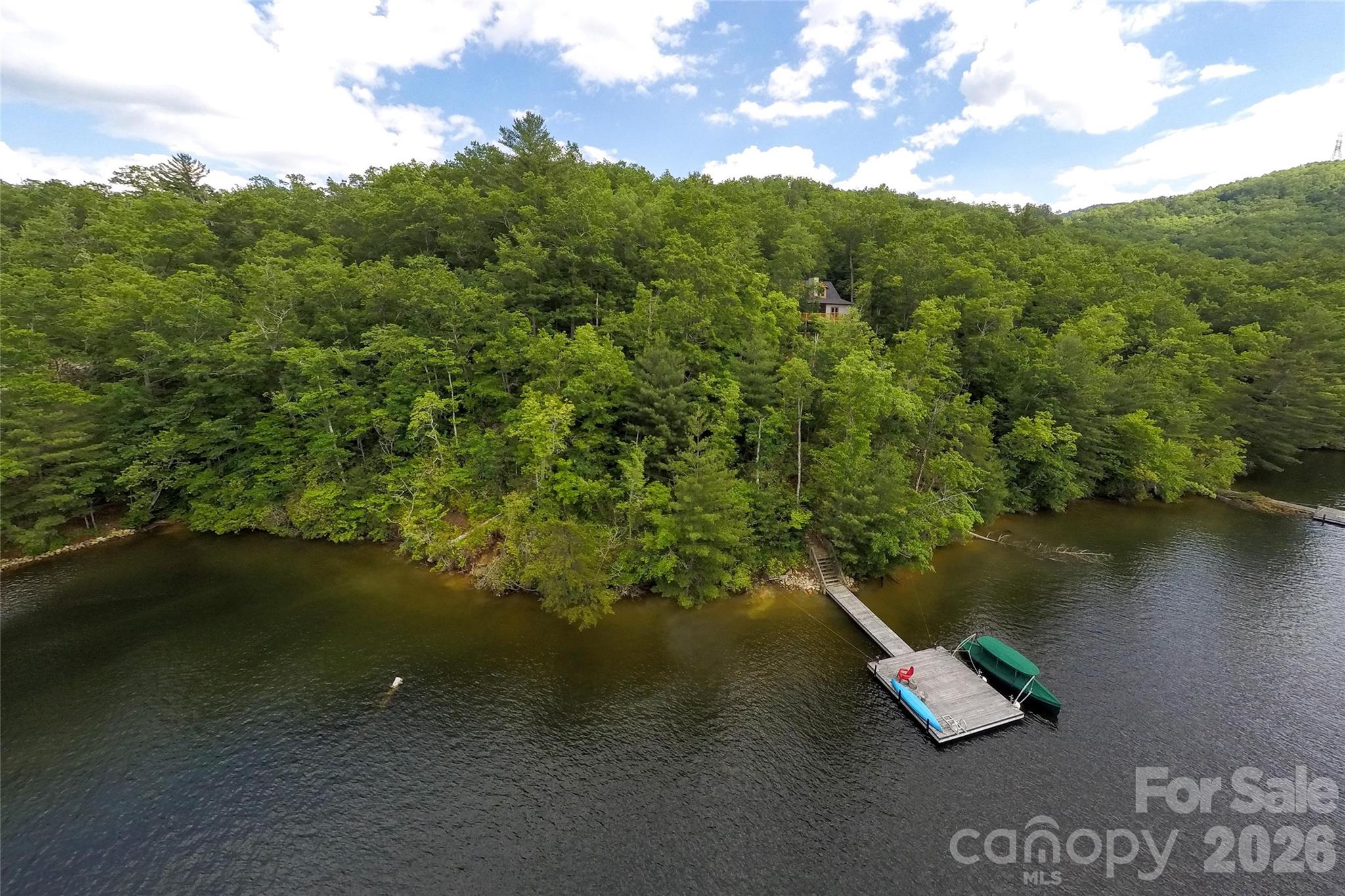159 Songcatcher Court Tuckasegee NC 28783
