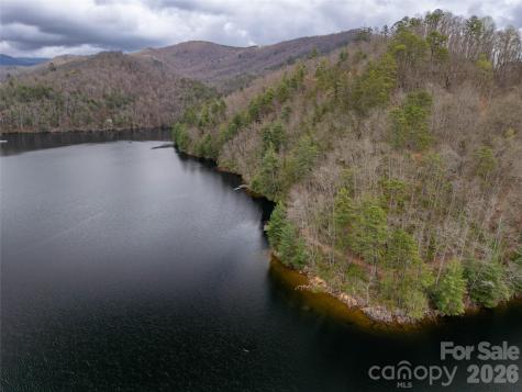 159 Songcatcher Court Tuckasegee NC 28783