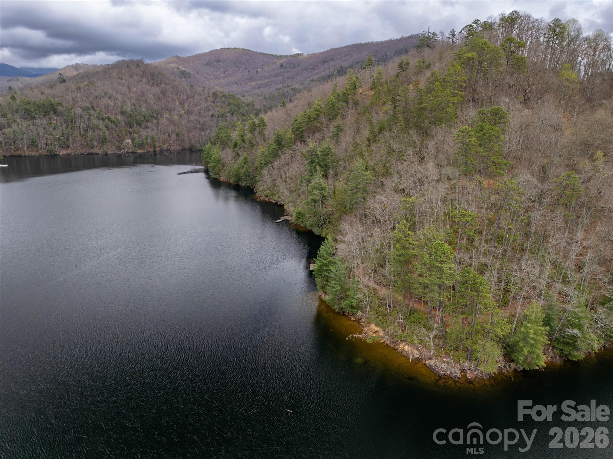 159 Songcatcher Court Tuckasegee NC 28783