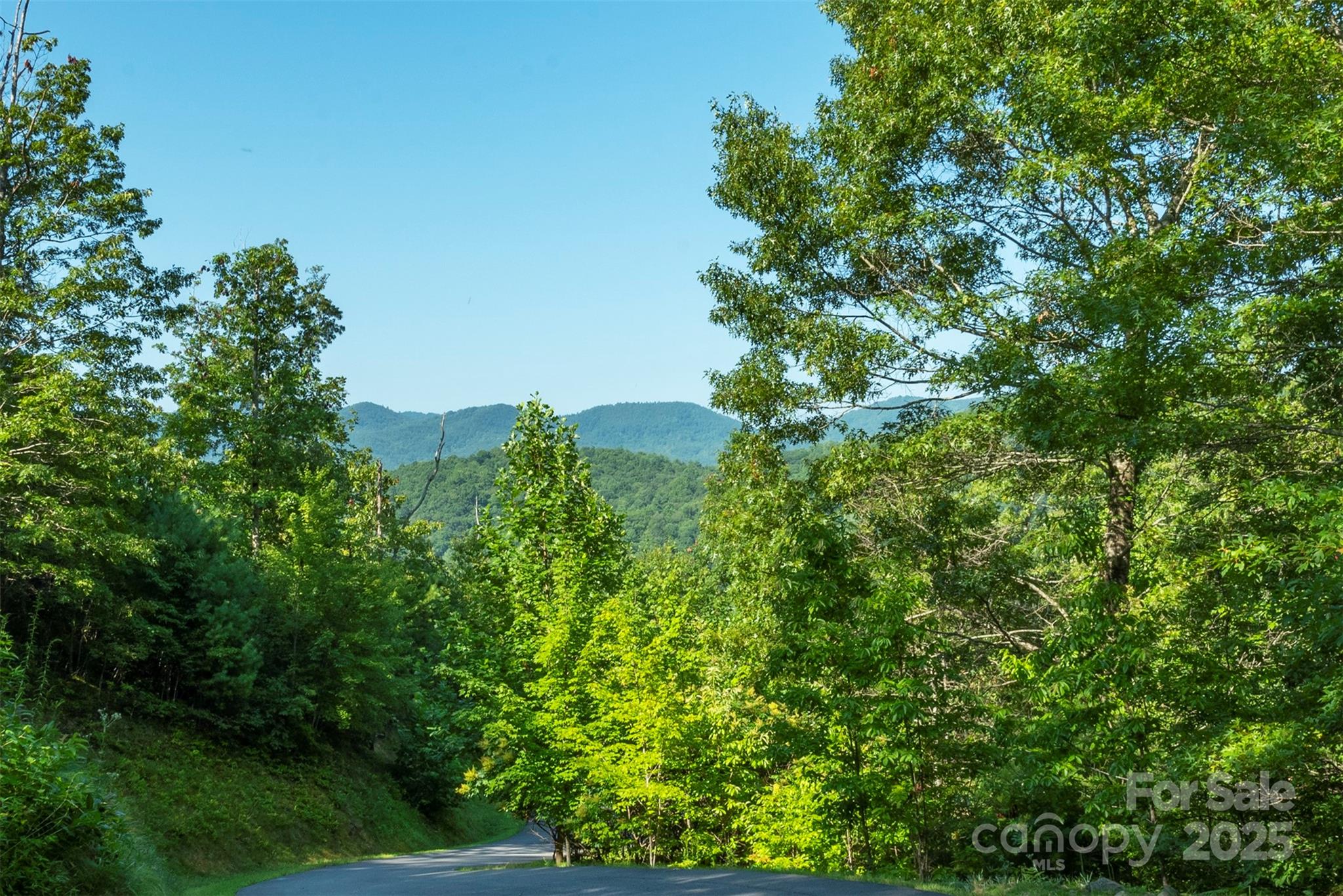 230 White Rapid Road Marshall NC 28753