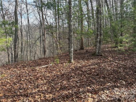 00 Round Hill Road Bryson City NC 28713