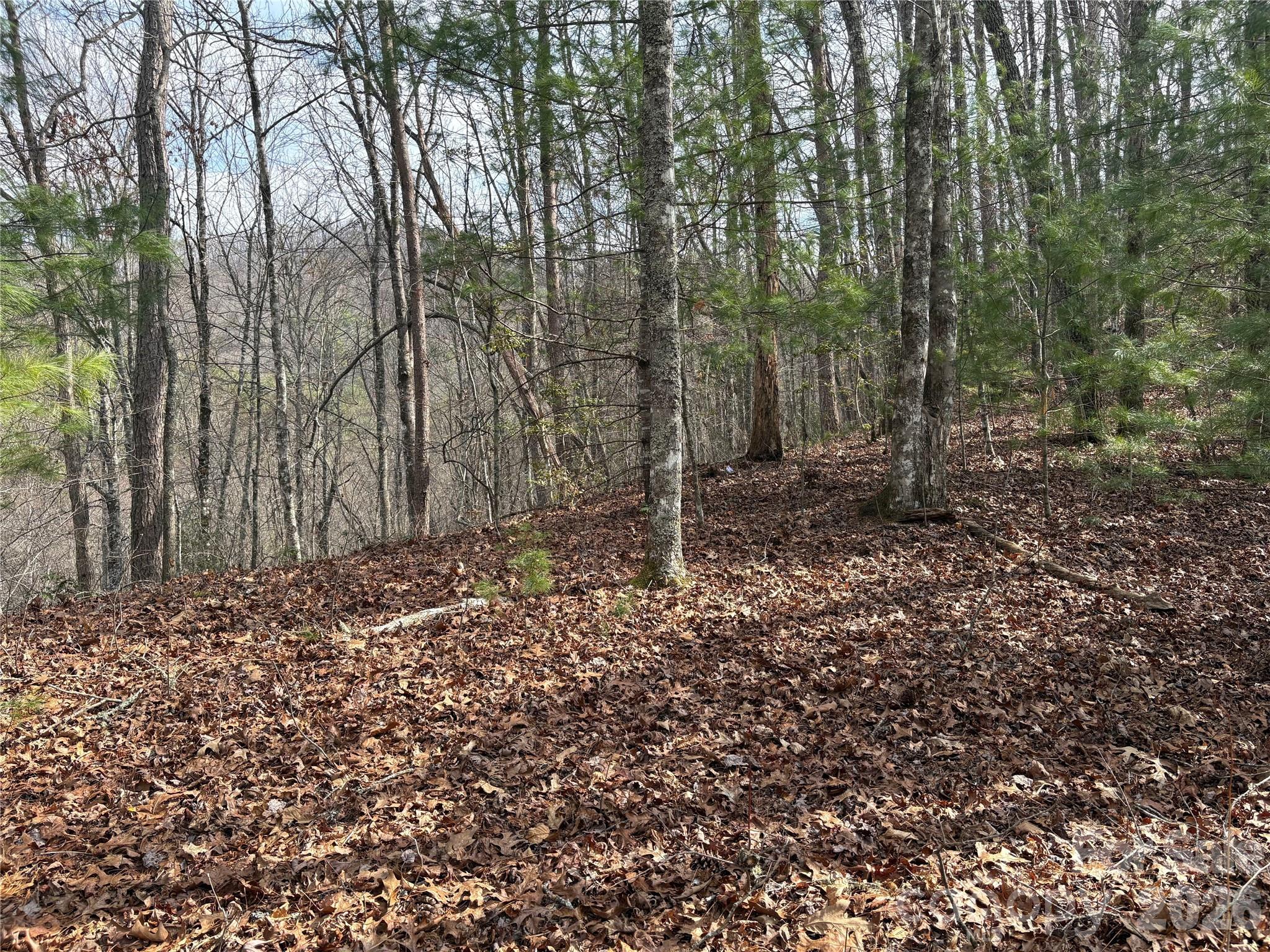 00 Round Hill Road Bryson City NC 28713