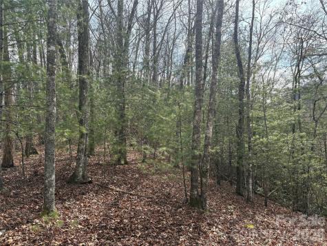 00 Round Hill Road Bryson City NC 28713