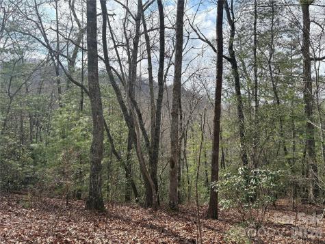 00 Round Hill Road Bryson City NC 28713
