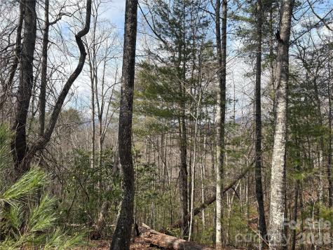 00 Round Hill Road Bryson City NC 28713