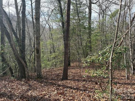 00 Round Hill Road Bryson City NC 28713