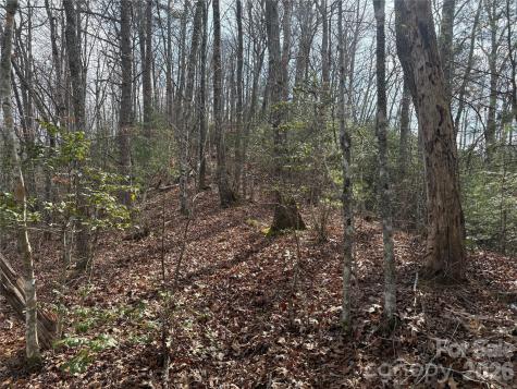 00 Round Hill Road Bryson City NC 28713