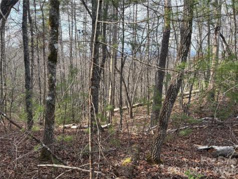 00 Round Hill Road Bryson City NC 28713