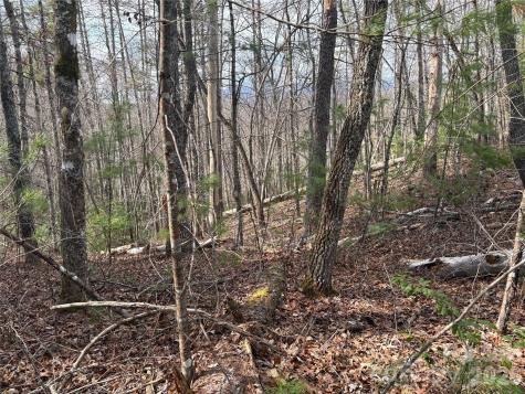 00 Round Hill Road Bryson City NC 28713