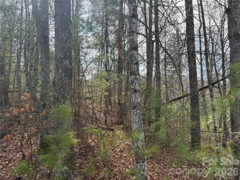 00 Round Hill Road Bryson City NC 28713