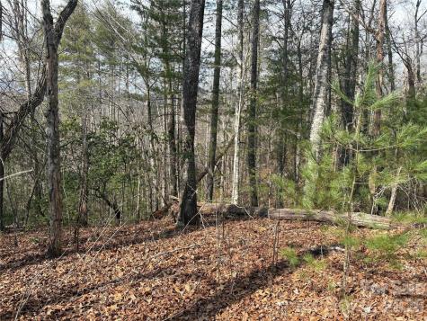 00 Round Hill Road Bryson City NC 28713