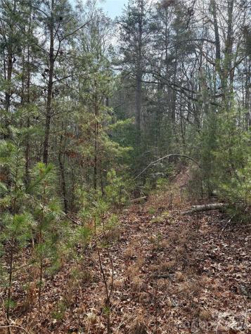00 Round Hill Road Bryson City NC 28713