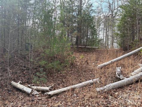 00 Round Hill Road Bryson City NC 28713