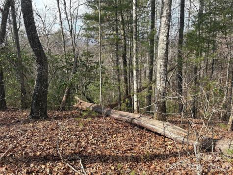 00 Round Hill Road Bryson City NC 28713