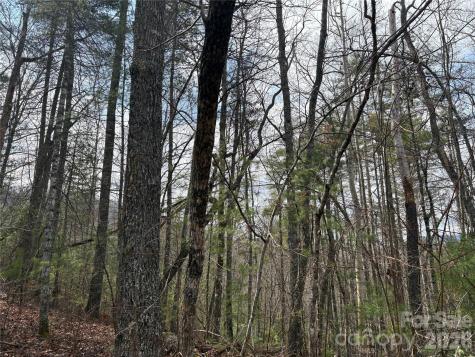 00 Round Hill Road Bryson City NC 28713
