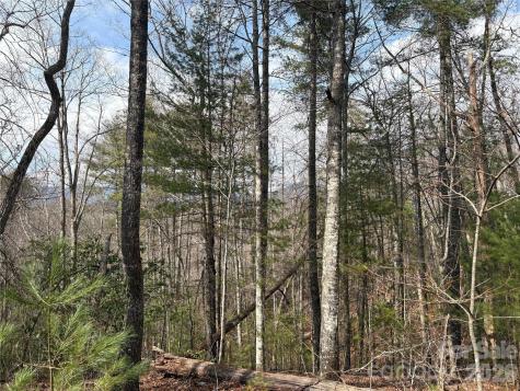 00 Round Hill Road Bryson City NC 28713