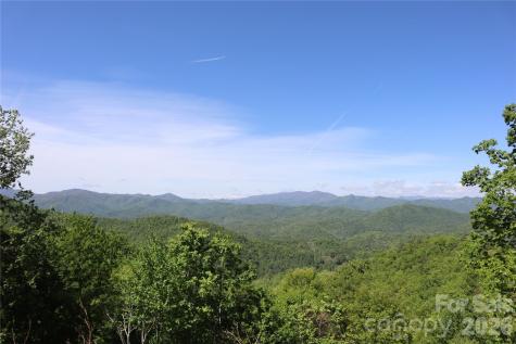 785 & 841 Laurel Spring Drive Bryson City NC 28713