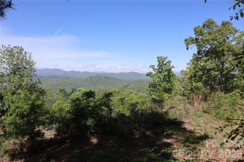 785 & 841 Laurel Spring Drive Bryson City NC 28713