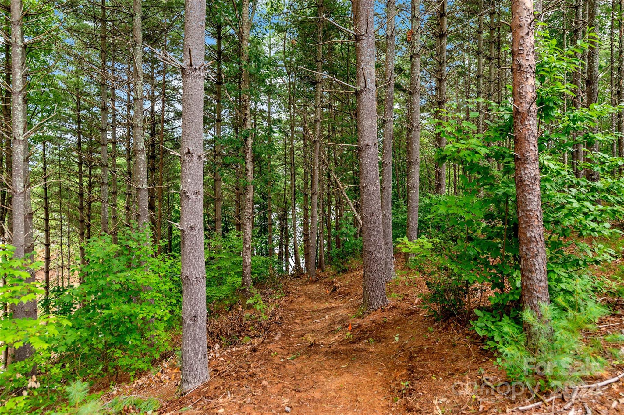 153 Gray Ridge View Drive Nebo NC 28761