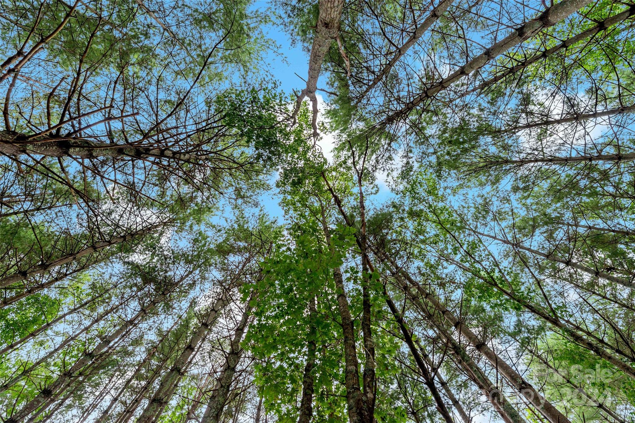 153 Gray Ridge View Drive Nebo NC 28761