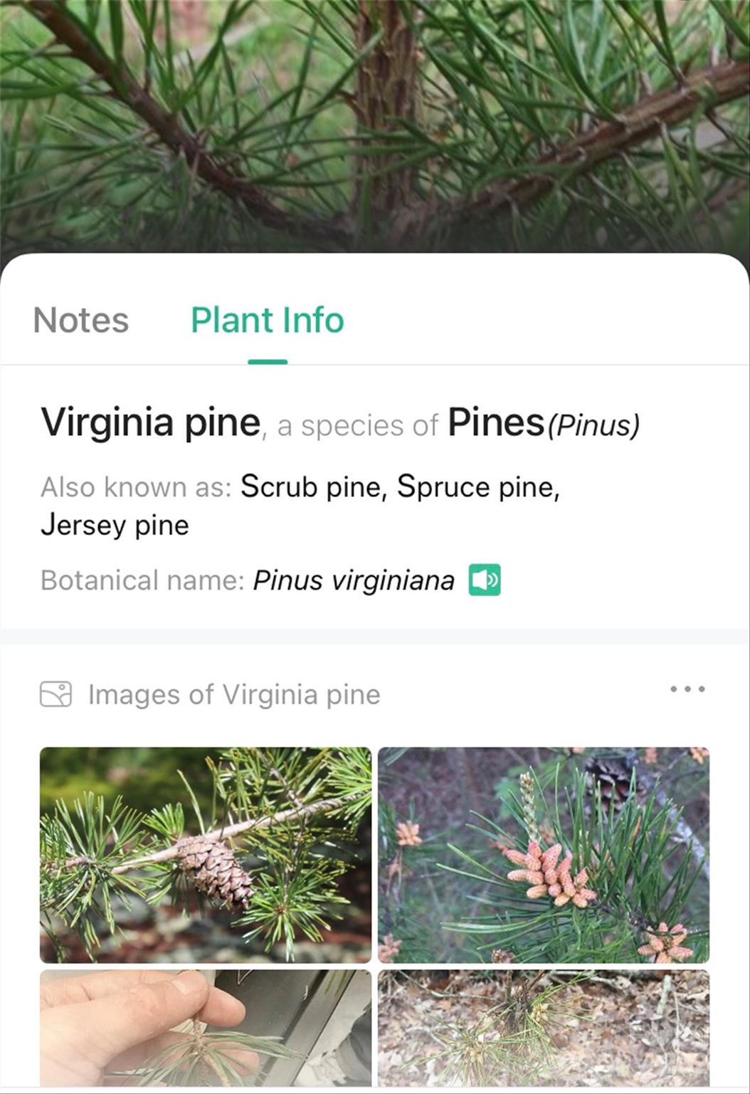 153 Gray Ridge View Drive Nebo NC 28761