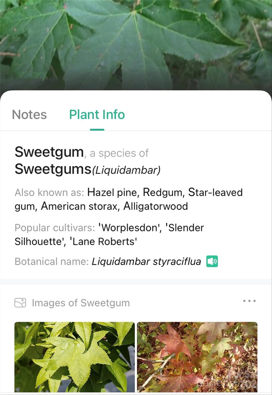 153 Gray Ridge View Drive Nebo NC 28761