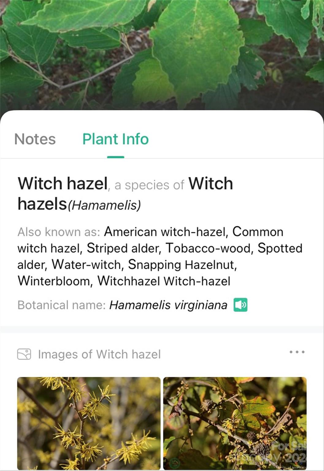 153 Gray Ridge View Drive Nebo NC 28761