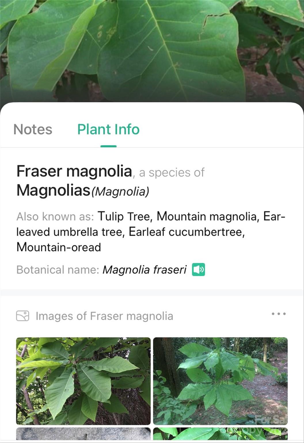 153 Gray Ridge View Drive Nebo NC 28761