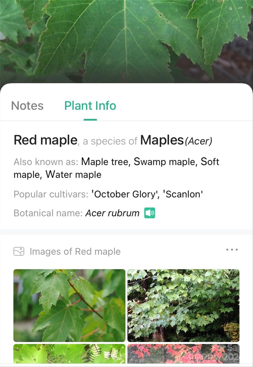 153 Gray Ridge View Drive Nebo NC 28761