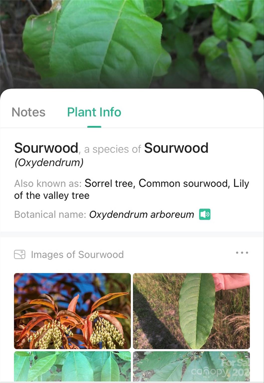 153 Gray Ridge View Drive Nebo NC 28761