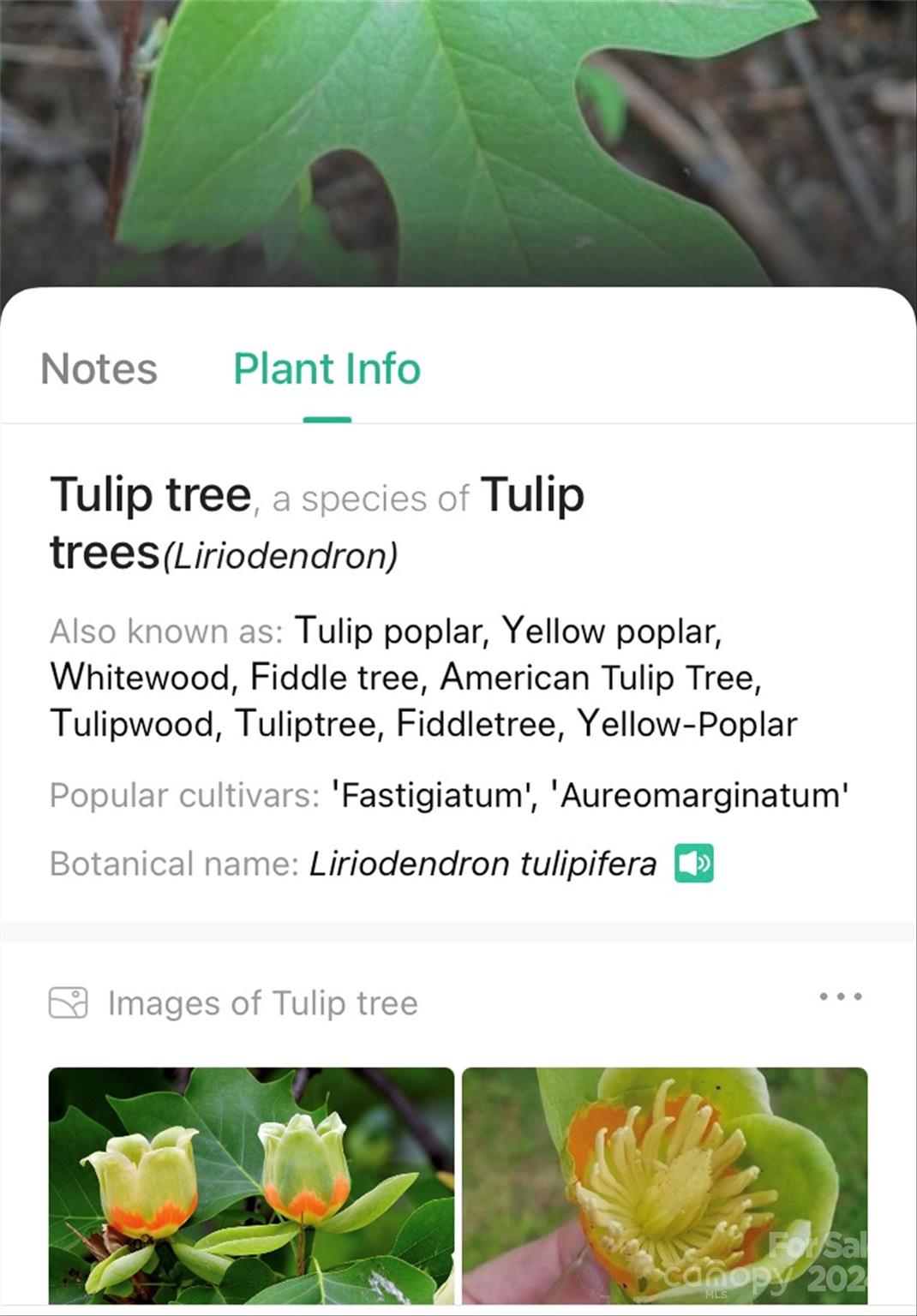 153 Gray Ridge View Drive Nebo NC 28761