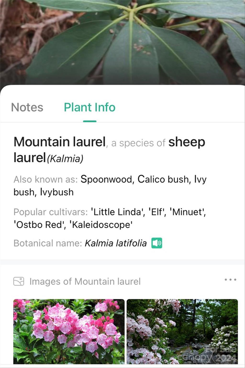 153 Gray Ridge View Drive Nebo NC 28761