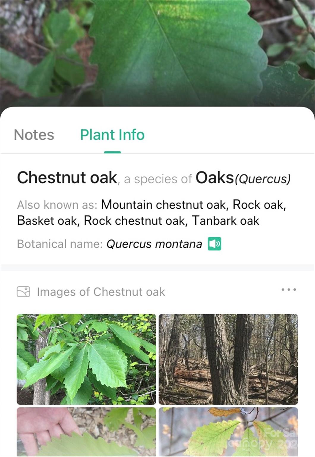 153 Gray Ridge View Drive Nebo NC 28761