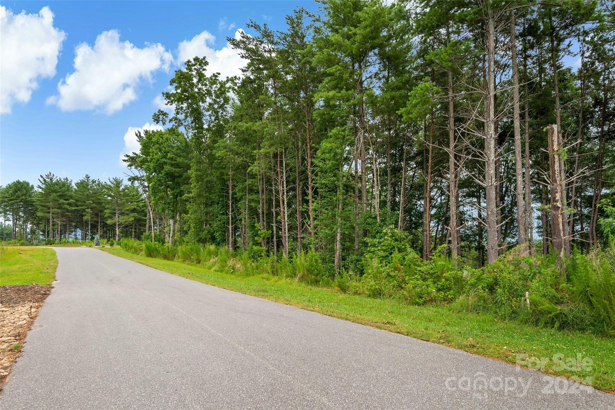 153 Gray Ridge View Drive Nebo NC 28761