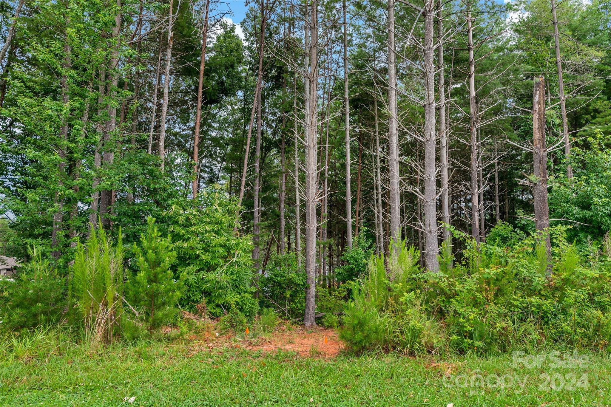 153 Gray Ridge View Drive Nebo NC 28761