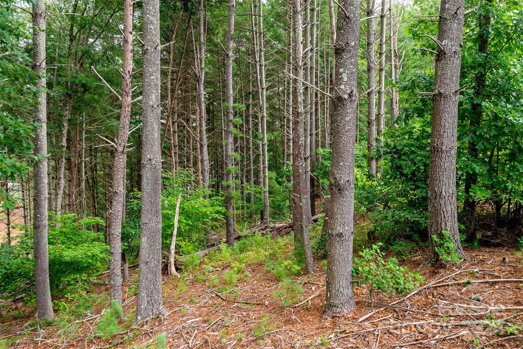 153 Gray Ridge View Drive Nebo NC 28761