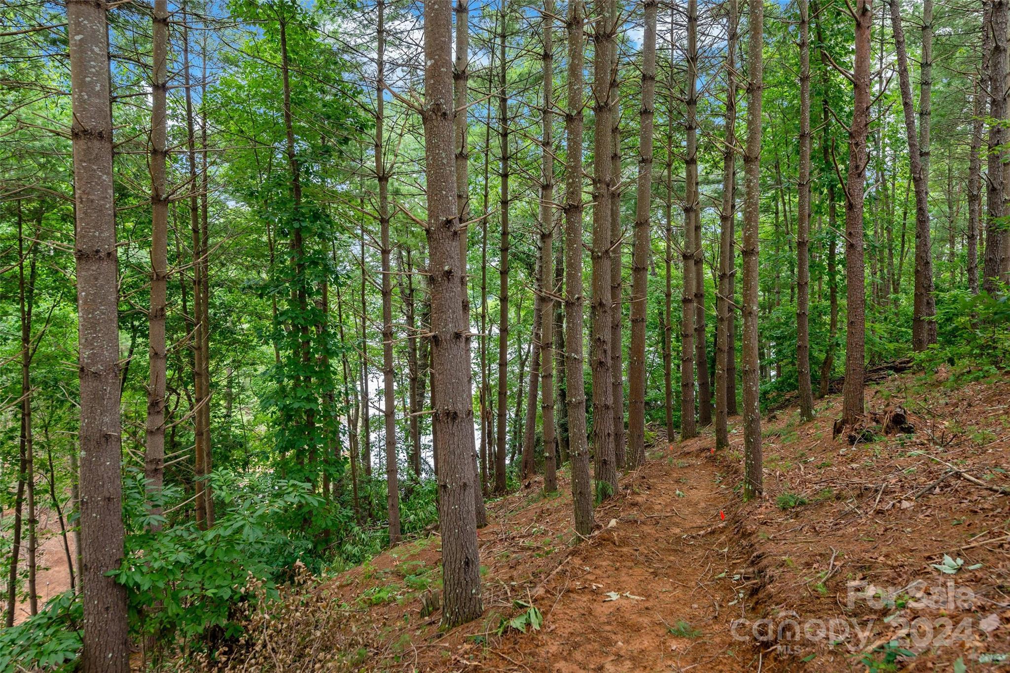 153 Gray Ridge View Drive Nebo NC 28761