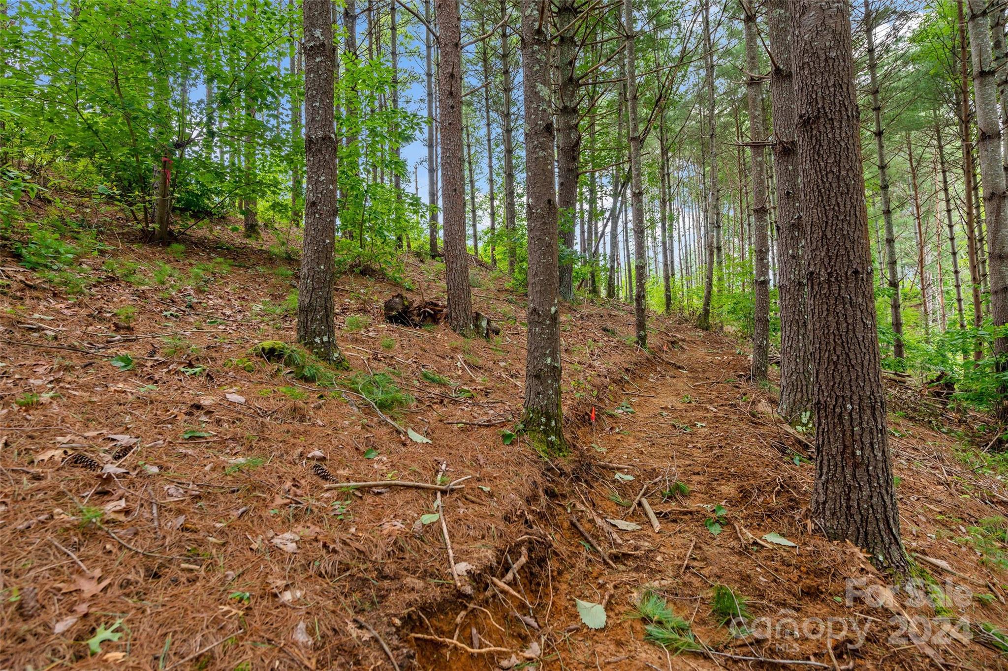 153 Gray Ridge View Drive Nebo NC 28761