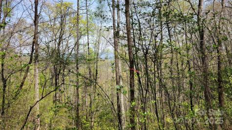 28 Lacy Fern Ridge Sylva NC 28779