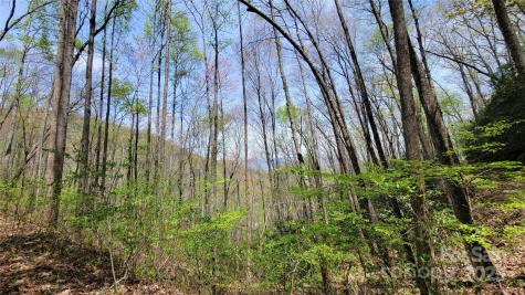 28 Lacy Fern Ridge Sylva NC 28779