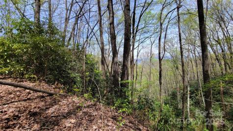 28 Lacy Fern Ridge Sylva NC 28779