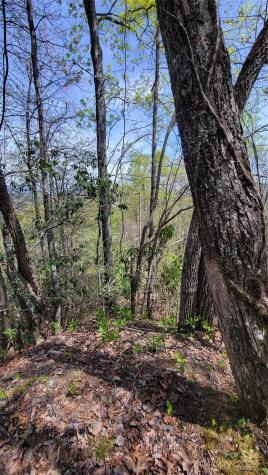 28 Lacy Fern Ridge Sylva NC 28779