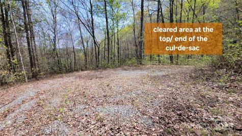 28 Lacy Fern Ridge Sylva NC 28779