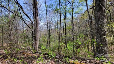 28 Lacy Fern Ridge Sylva NC 28779