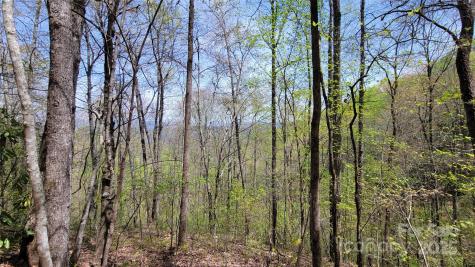 28 Lacy Fern Ridge Sylva NC 28779