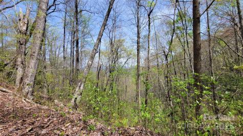 28 Lacy Fern Ridge Sylva NC 28779